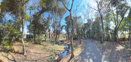 磐田市竜洋昆虫自然観察公園