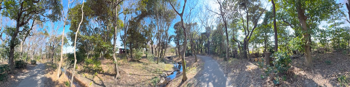 磐田市竜洋昆虫自然観察公園