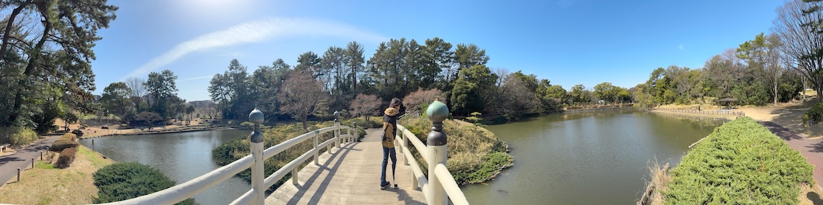 上野台公園